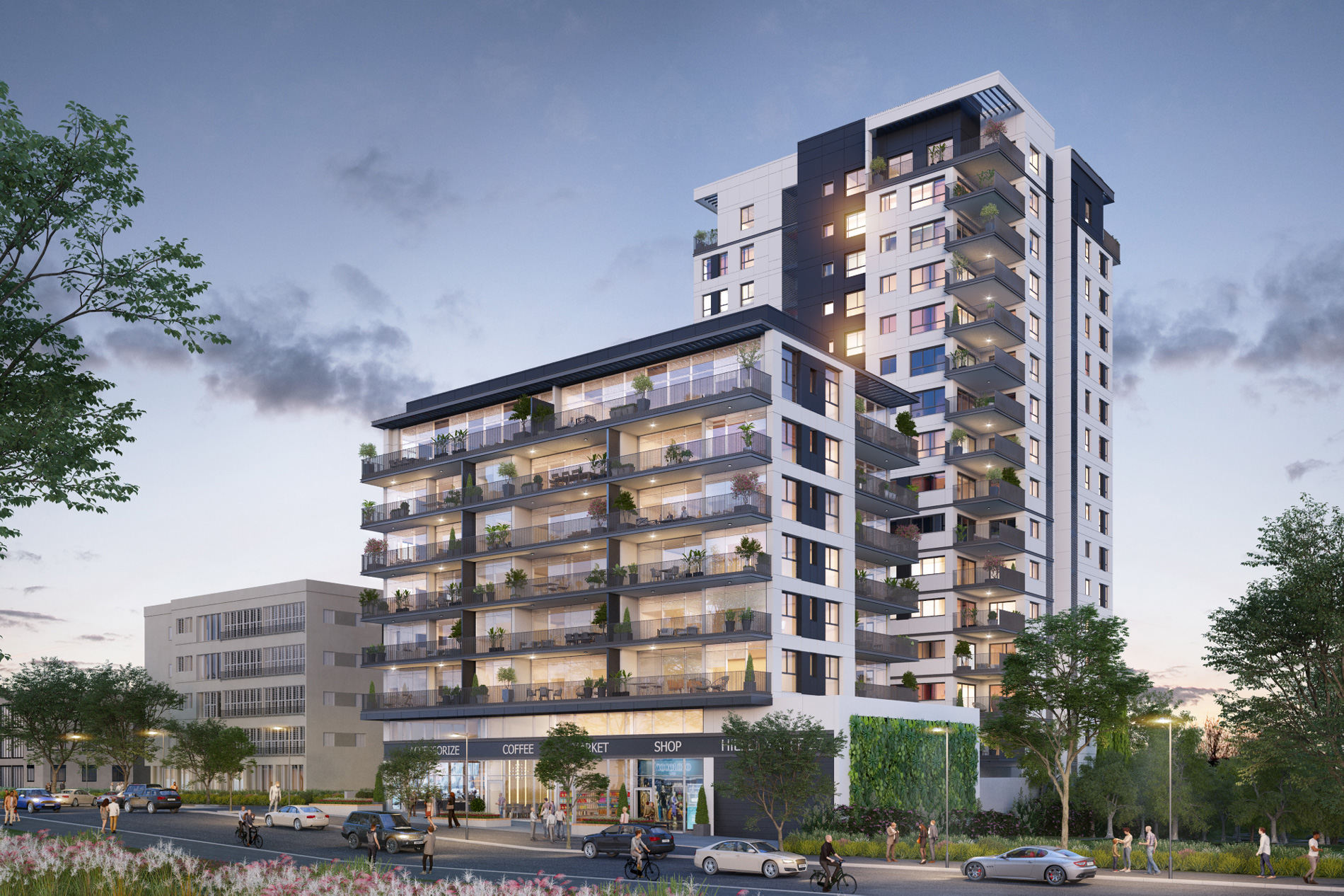 Hedera Hillel Yafe 27