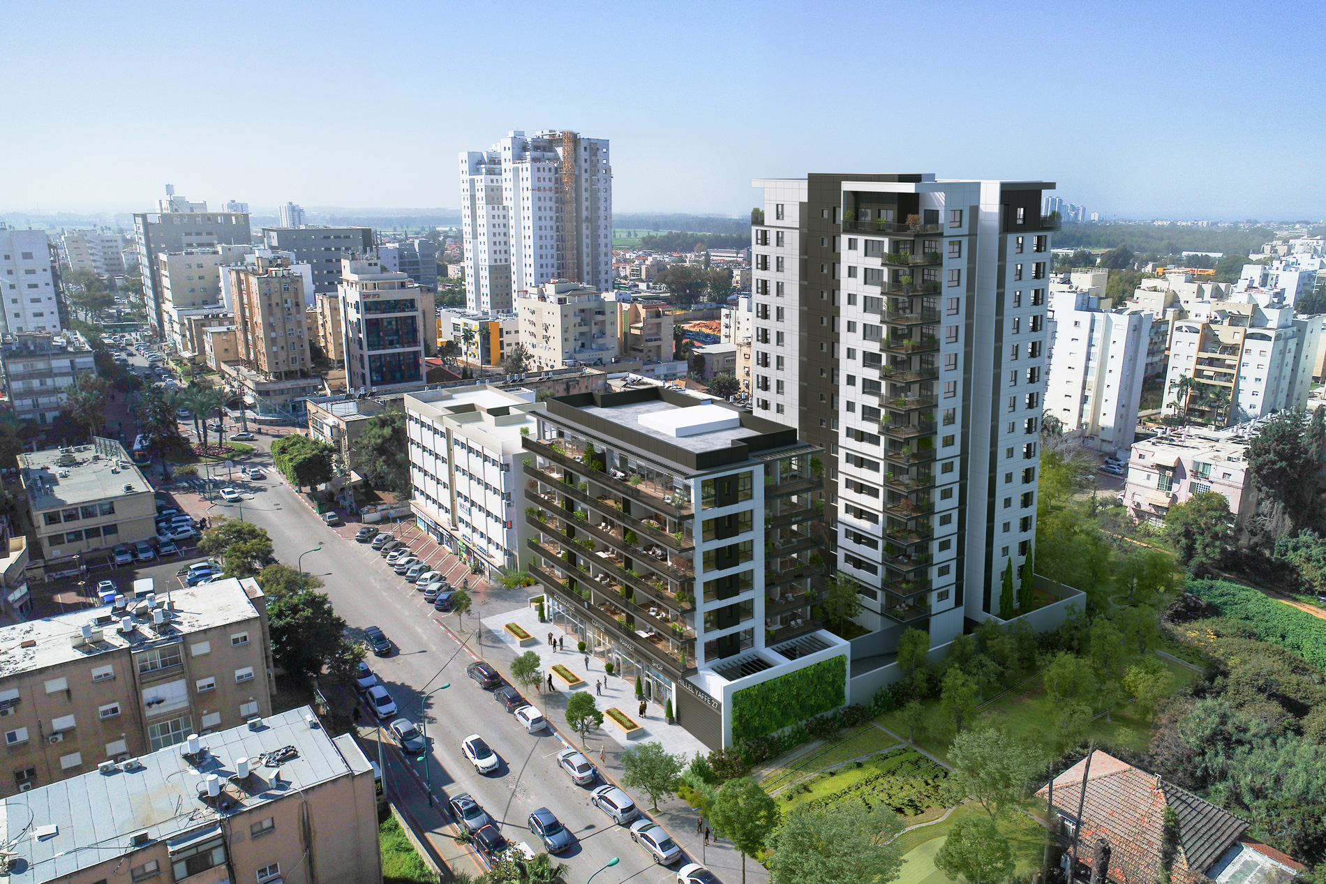 Hedera Hillel Yafe 27