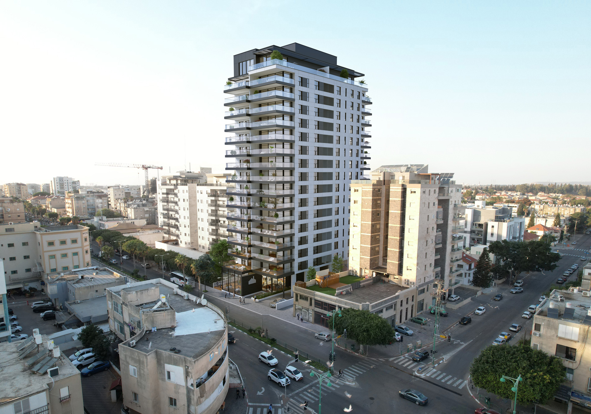 Hedera- Hanasi 75 Urban Renewal